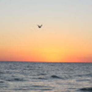 Meet your Posher, Jitka